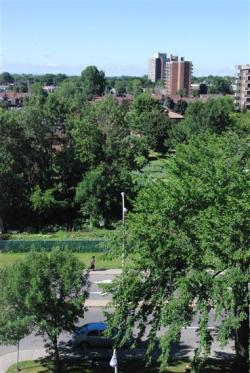 1 bedroom Apartments for rent in Cote-St-Luc at Kildare House - Photo 01 - RentQuebecApartments – L2073