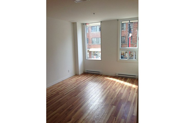 luxurious 3 bedroom Apartments for rent in Montreal at Place du Fort - Photo 09 - RentQuebecApartments – L8983