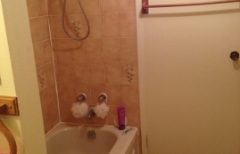 2 bedroom Apartments for rent in Sainte-Anne-de-Bellevue at Maple - Photo 01 - RentQuebecApartments – L112103