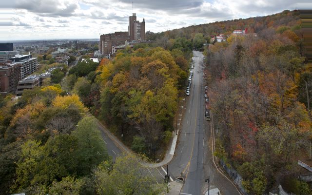 1 bedroom Apartments for rent in Montreal at Pine Tower - Photo 03 - RentQuebecApartments – L6789