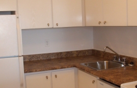 1 bedroom Apartments for rent in Plateau Mont-Royal at Tour Lafontaine - Photo 01 - RentQuebecApartments – L23188