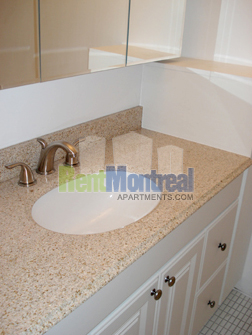 1 bedroom Apartments for rent in Montreal (Downtown) at Trianon - Photo 06 - RentQuebecApartments – L489