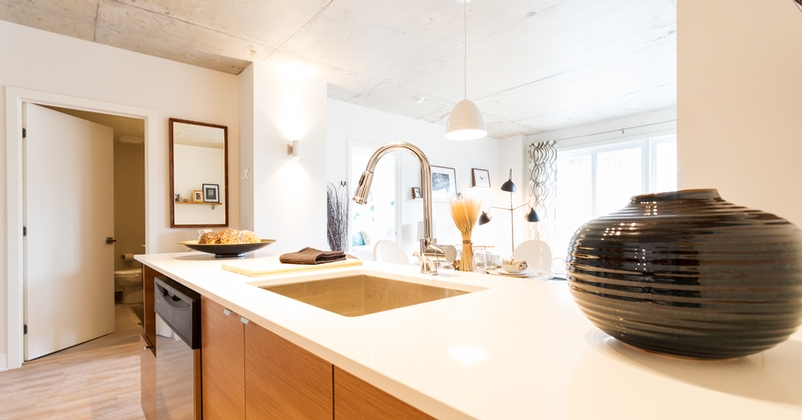 luxurious 1 bedroom Apartments for rent in Montreal at LHexagone - Photo 04 - RentQuebecApartments – L21370