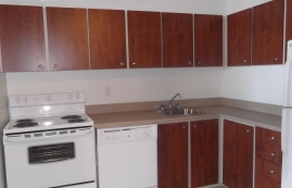 1 bedroom Apartments for rent in Plateau Mount-Royal at Tour Lafontaine - Photo 01 - RentQuebecApartments – L23193