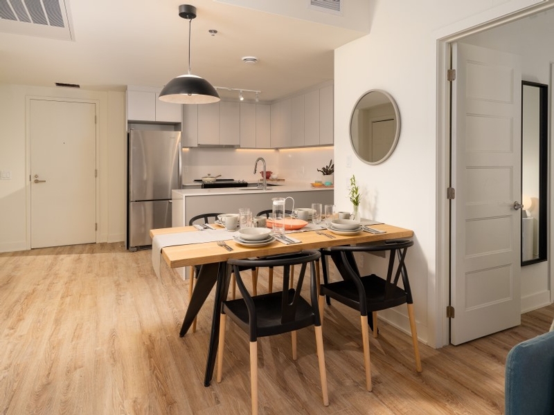 Studio / Bachelor Apartments for rent in Verdun at DOMO Appartements - Photo 07 - RentQuebecApartments – L412474