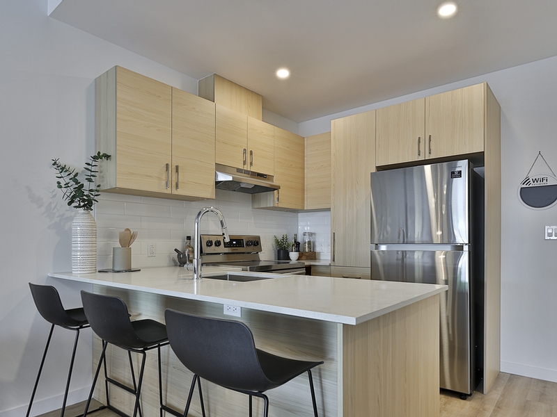 Studio / Bachelor Apartments for rent in Laval at Milo - Photo 08 - RentQuebecApartments – L405437